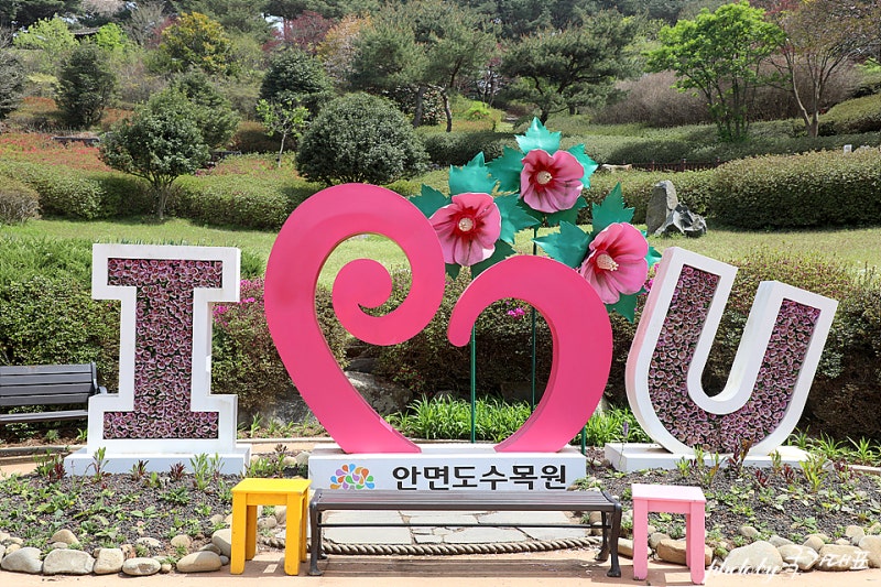 안면도 수목원