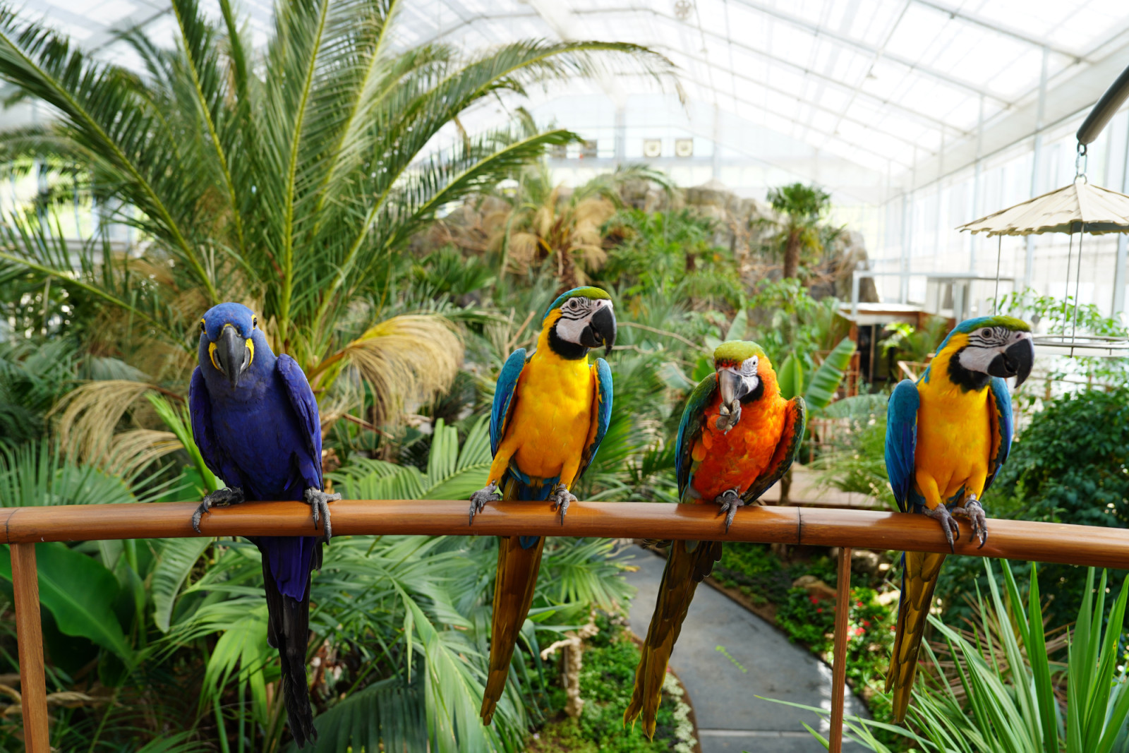 가평베고니아 새정원