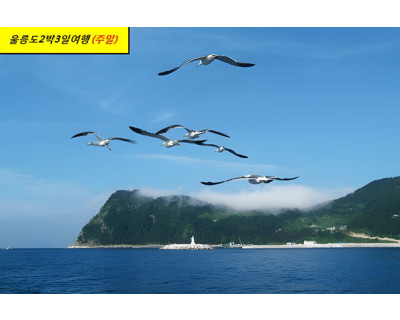 [주말] 울릉도2박3일 ※ 신분증필히지참
