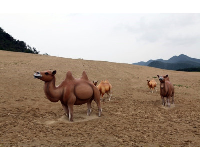 [주말] 대청도, 백령도 2박 3일 여행 *신분증 필히 지참